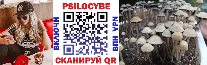 Галлюциногенные грибы ЛСД  Карасук 