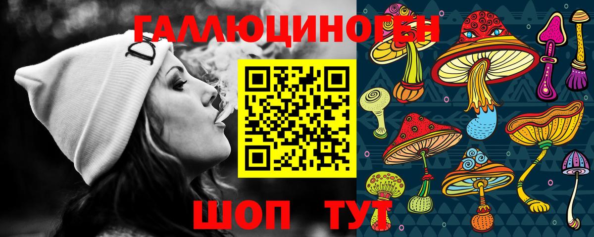 Псилоцибиновые грибы Cubensis Карасук