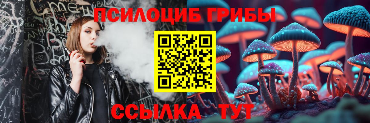 Псилоцибиновые грибы мухоморы  Галлюциногенные грибы GOLDEN TEACHER  Карасук  Вход с VPN 